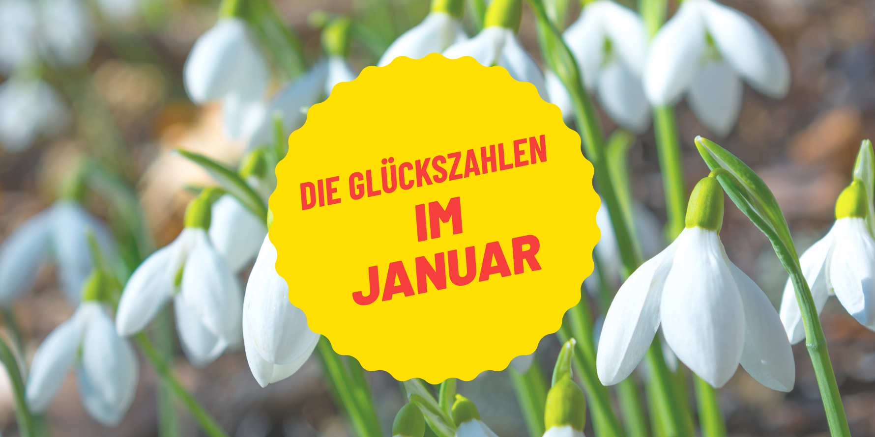 Steinbock & Wassermann: Die Januar-Sternzeichen im Glücksfokus